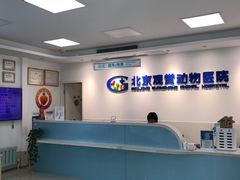 -北京观赏动物医院·24小时大型综合·猫专科·异宠专科