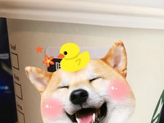 -星巴克(深圳龙华上河坊店)