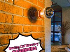 -Boxing Cat Brewery拳击猫精酿啤酒馆(永福店)