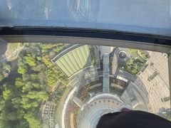 -东方明珠广播电视塔