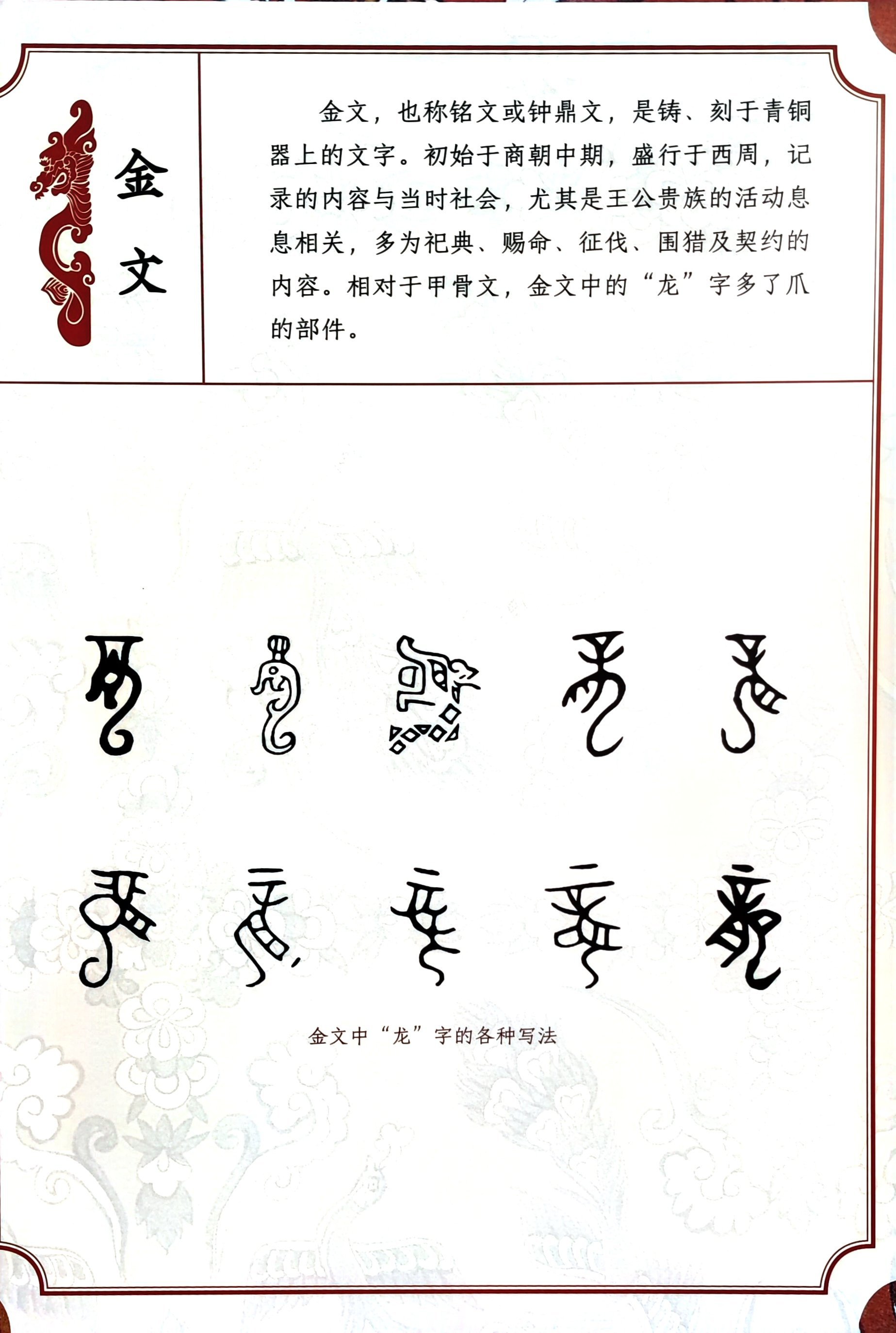 龙字的演变