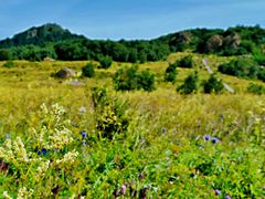 -白草畔自然风景区
