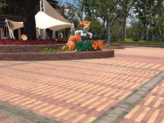 -苏州乐园森林水世界