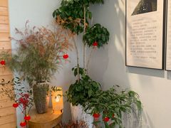 -十二舍·湯物素煮(江泰潤政店)
