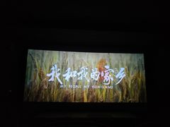 -万达影城(锦华万达广场IMAX店)