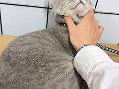 -双生肠粉(牌坊街总店)