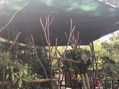 -可伦宾野生动物保护区