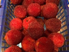 -上海龙吴水胜海发市场