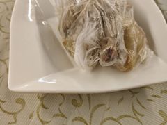 -百利鸽王(紫薇路店)
