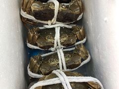 -黄记大闸蟹专卖店·活蟹·醉蟹