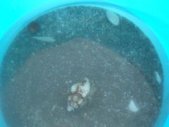 -嵊泗基湖沙滩