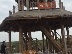 -北海金海湾红树林生态旅游区