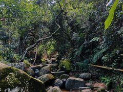 -阳台山森林公园