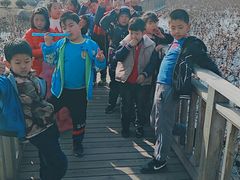 -羊亭河湿地公园