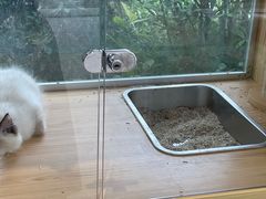 -鼎级派宠物(中南店)