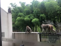-苏州环秀晓筑养生度假村