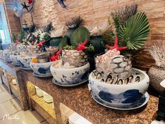 -厦门悦华酒店·绿庭主题自助餐厅