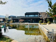-雅达·阳羡溪山小镇中心