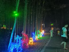 -昆山城市生态森林公园