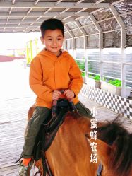 -小蜜蜂农场(凯德七宝购物广场店)