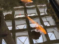 -惠中捞面