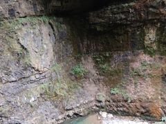 -鹿院坪生态旅游景区