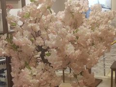 -耳·道古法采耳(高新万达店)