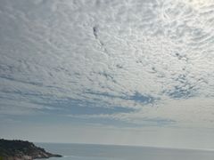 -广东惠东海龟国家级自然保护区