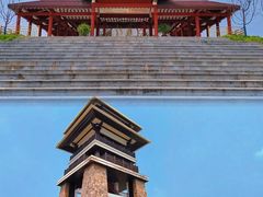 -大湾区中央湿地公园