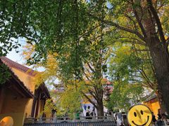 -南山风景名胜区