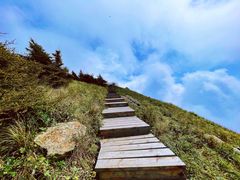 -白草畔自然风景区