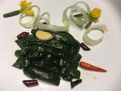 酸黄瓜-九十九顶毡房(阜石路店)