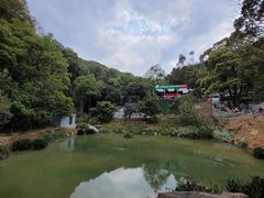 -天鹿湖森林公园