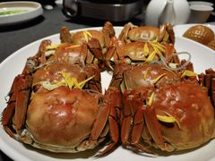 母大闸蟹-徐记海鲜(曲江南湖店)