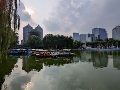 -团结湖公园