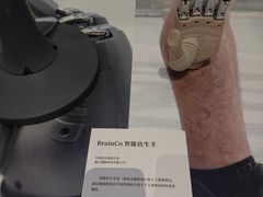 -中国美术学院-美术馆