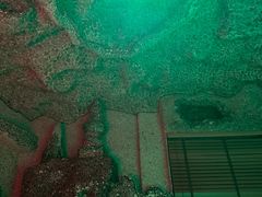 -水木谷养生水汇