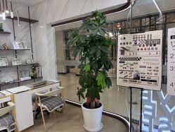 -爱睫物语·疗愈美睫美甲