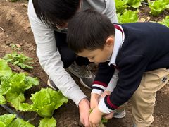 -前小桔亲子创意农场·草莓采摘·露营烧烤