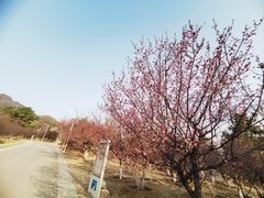 -鹫峰国家森林公园