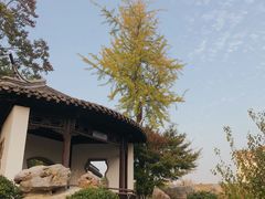 -竹西公园
