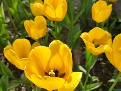 -长春公园(普阳街道)