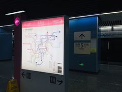 -大龙山(地铁站)