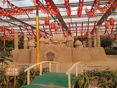 -南宫五洲植物乐园