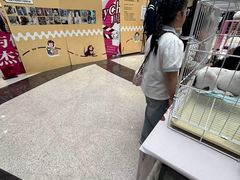 -万达广场(沈阳铁西店)