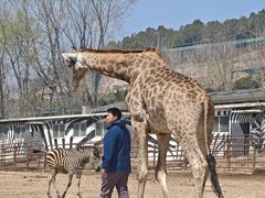 -大连森林动物园