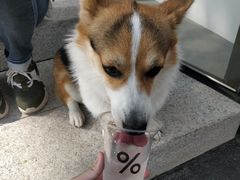 -% Arabica阿拉比卡咖啡(深圳湾万象城店)