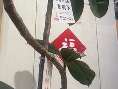 -友谊阳光城