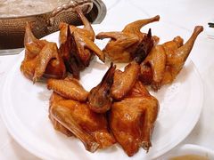 -鸽鸟轩(石岐店)