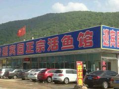 -庆岭迎宾园正宗活鱼馆